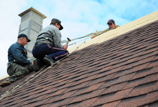 Best Gutter Installation and Roofing  in Dover Beaches North, NJ